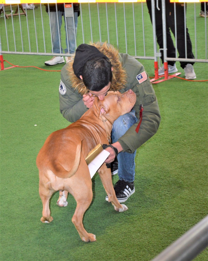 Hundägare som pussar sin hund efter prisutdelning i ABR-Showen i Jönköping